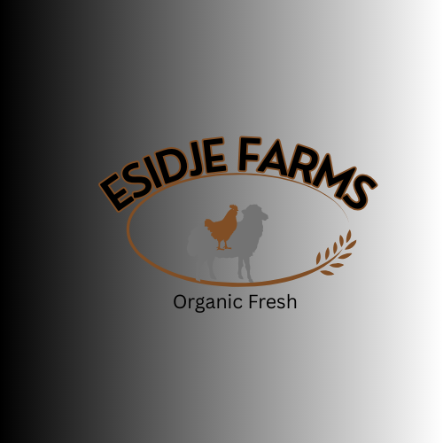 Brown Professional Farm Barn Logo 1